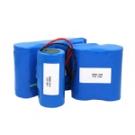 Lithium Iron Phosphate cell